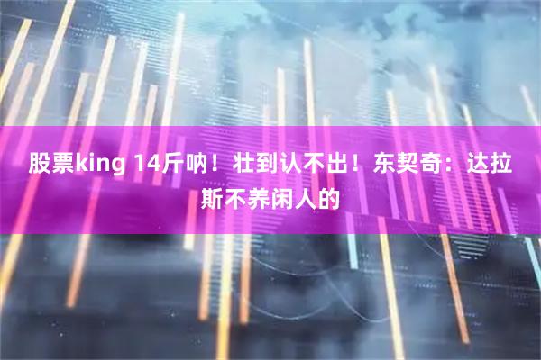 股票king 14斤呐！壮到认不出！东契奇：达拉斯不养闲人的